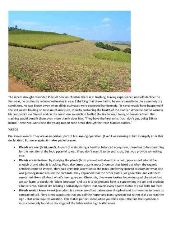 Sugarbytes Article. 2018. Mayfield Farm_Page_06