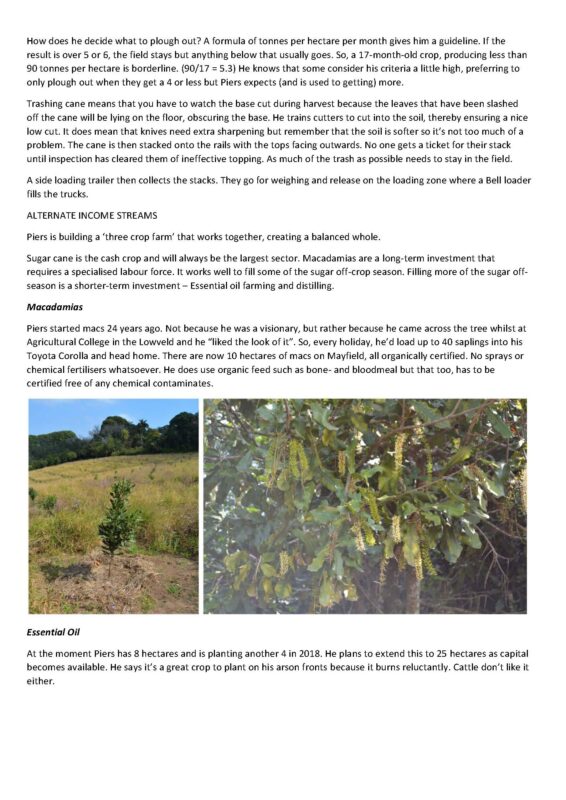 Sugarbytes Article. 2018. Mayfield Farm_Page_09