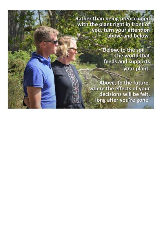 Sugarbytes Article. 2018. Mayfield Farm_Page_12